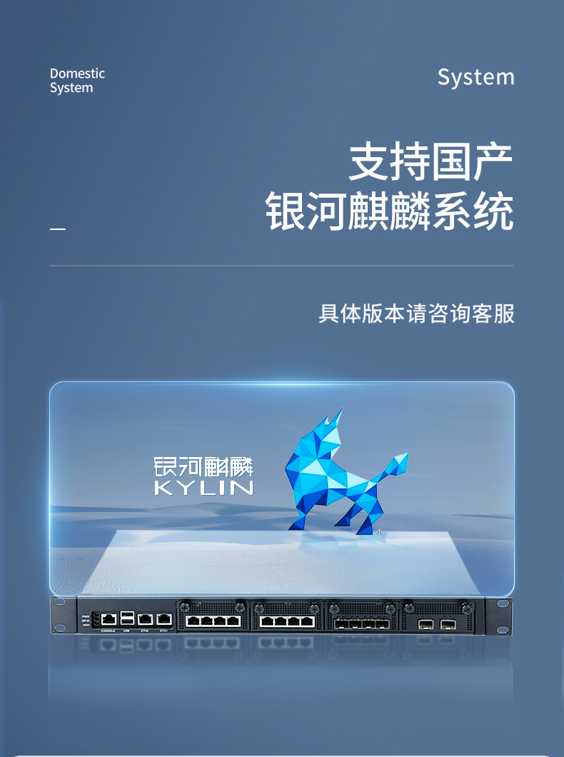國產(chǎn)多網(wǎng)口工控主機(jī),網(wǎng)絡(luò)安全工業(yè)電腦,DT-12420-SD2000.jpg