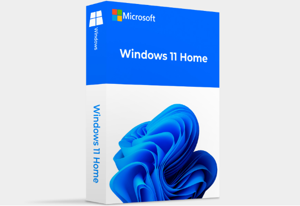 Windows 11 home操作系統.png